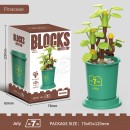 Coffee Cup Plant Series Building Blocks-12 Months Coffee Cup Plant Series Building Blocks-12 Months