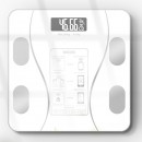 BMI Health Scale