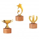 Wooden Metal Trophy