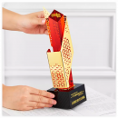 Hollowed-Out Irregular Metal Trophy