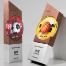 Solid Wood Crystal Award