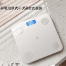 Electronic Health Scale
