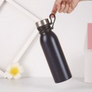 Stainless Steel Bottle