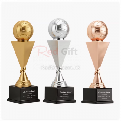金屬排球獎杯
