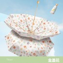 雙層黑膠五摺雨傘