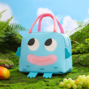 Insulated and refrigerated lunch box bag