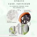 種子紙扇