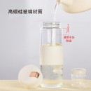 Portable Glass Mug with Infuser