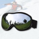 Ski Goggles