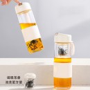 Portable Glass Mug with Infuser