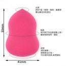 Make-up Sponge with Box