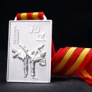 Taekwondo Metal Medal
