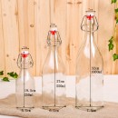 Clear Glass Bottle With Stopper