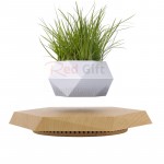 磁浮盆栽創意盆景(不帶植物)