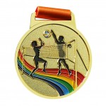 Colorful Volleyball Medal