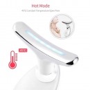 Face And Neck Care Instrument