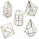 Geometric Glass Terrariums