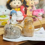 可愛小貓透明毛髮收納盒