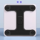 Electronic Health Scale