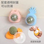 貓貓磨牙玩具