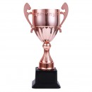 Trophy Cup