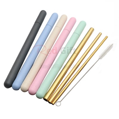 Stainless Steel Straw with Tube