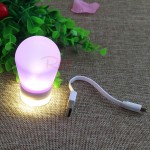 Portable Magnetic Lamp