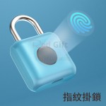 Fingerprint Travel Lock