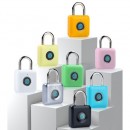 Fingerprint Travel Lock