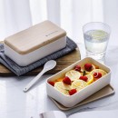 Double layer Bento Box