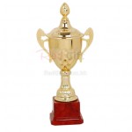 Trophy Cup