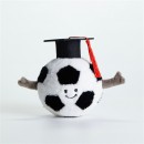 畢業毛絨球公仔