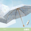 雙層黑膠五摺雨傘