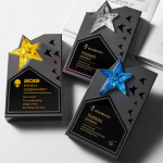 Five-Pointed Star Crystal Trophy