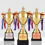 Trophy Cup