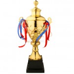 Trophy Cup