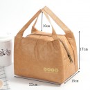 DuPont Paper Insulation Bag