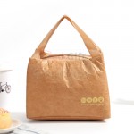 DuPont Paper Insulation Bag