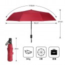 Fan Umbrella Gift Set