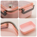 Stainless Steel Lunch Box