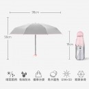 Folding Umbrella