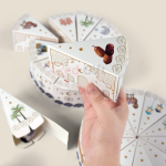 創意蛋糕造型禮盒