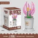 Coffee Cup Plant Series Building Blocks-12 Months Coffee Cup Plant Series Building Blocks-12 Months