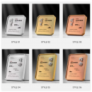 創意3D立體LOGO定制獎牌