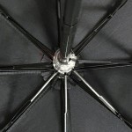 3 Folding Umbrella