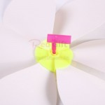 Promotional Pinwheel