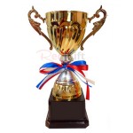 Trophy Cup