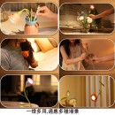 花朵台灯摆件