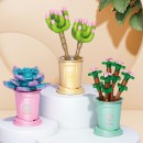 Coffee Cup Plant Series Building Blocks-12 Constellations Succulent Series