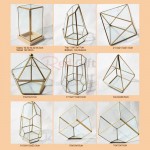 Geometric Glass Terrariums